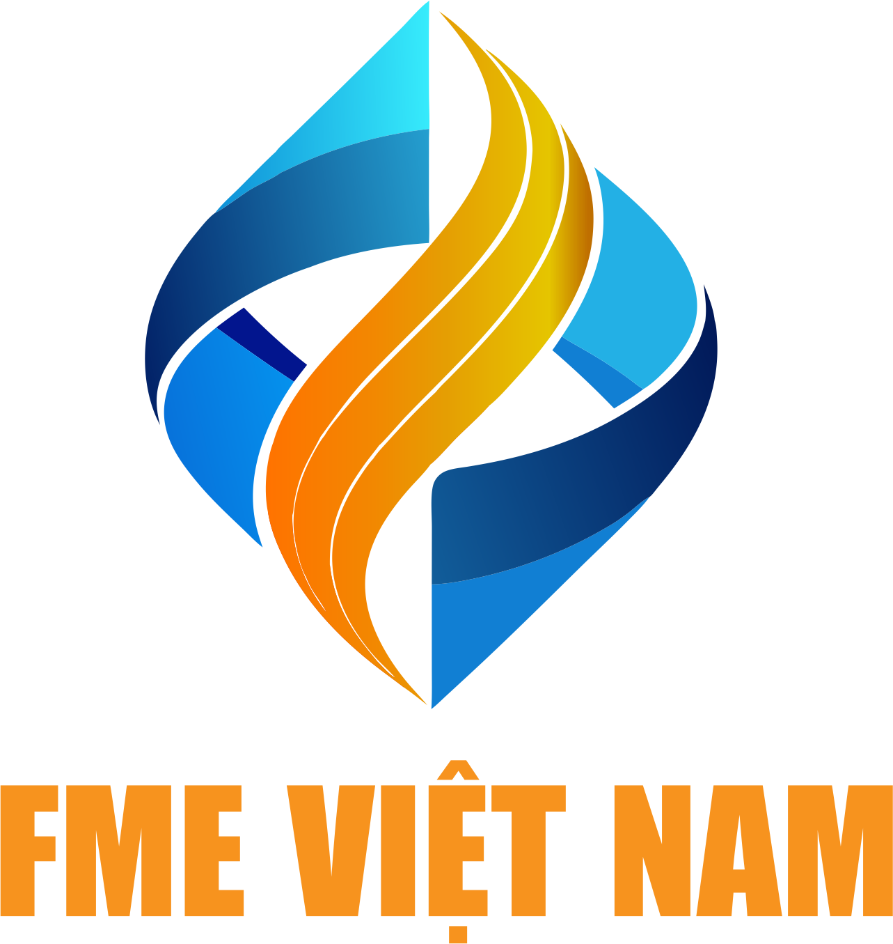 CÔNG TY CỔ PHẦN FME VIỆT NAM 